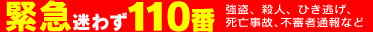 緊急迷わず110番
