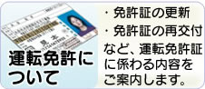 運転免許について