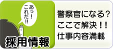採用情報