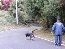 足跡追及犬の画像１