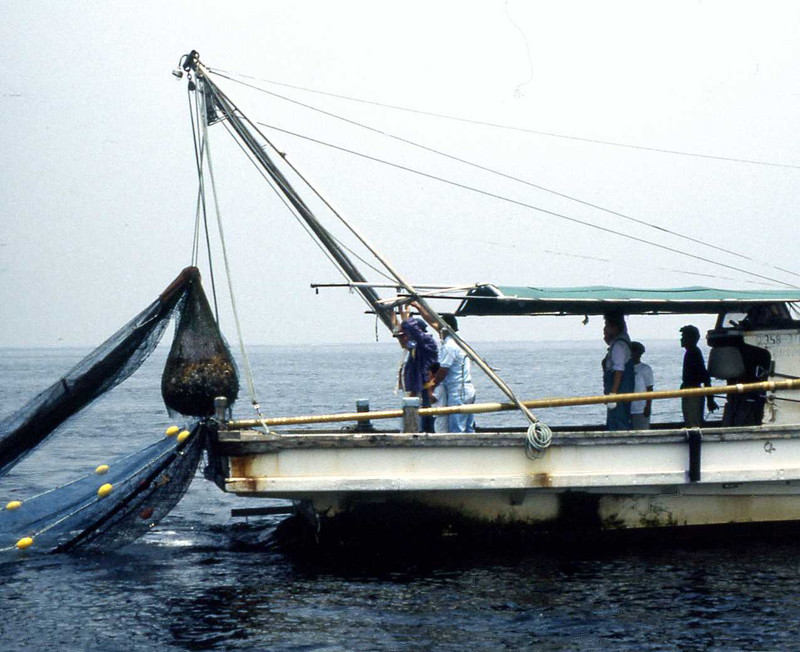 底引き網漁業に挑戦　－山仕事と漁業の交流会－