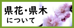 大分県の県花・県木について