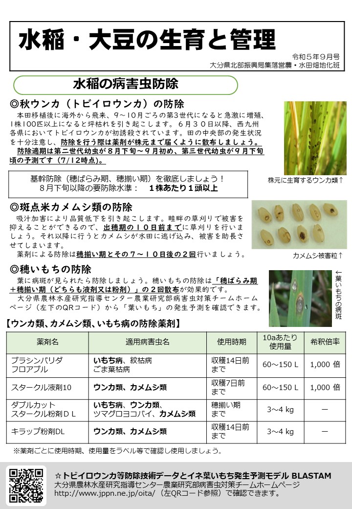 水稲の栽培管理情報