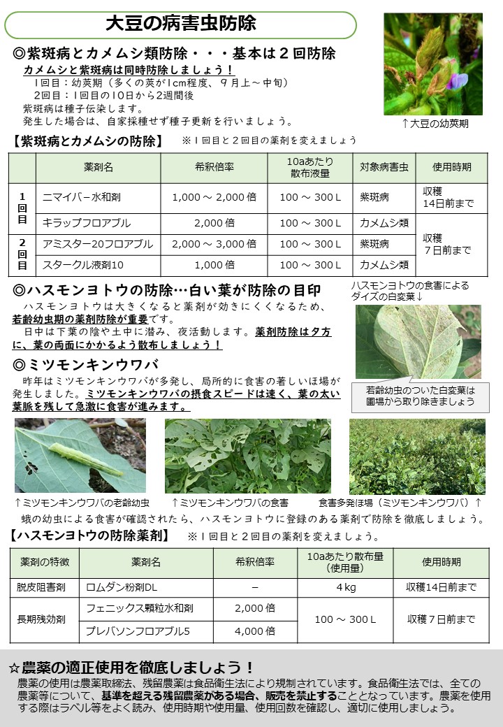 大豆の栽培管理情報