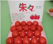 サニープレイスファーム製造のトマトです