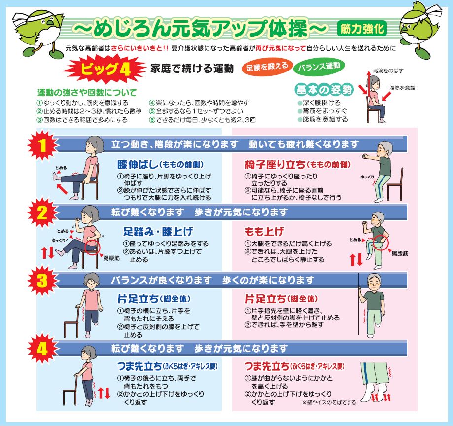 めじろん元気アップ体操ビッグ４