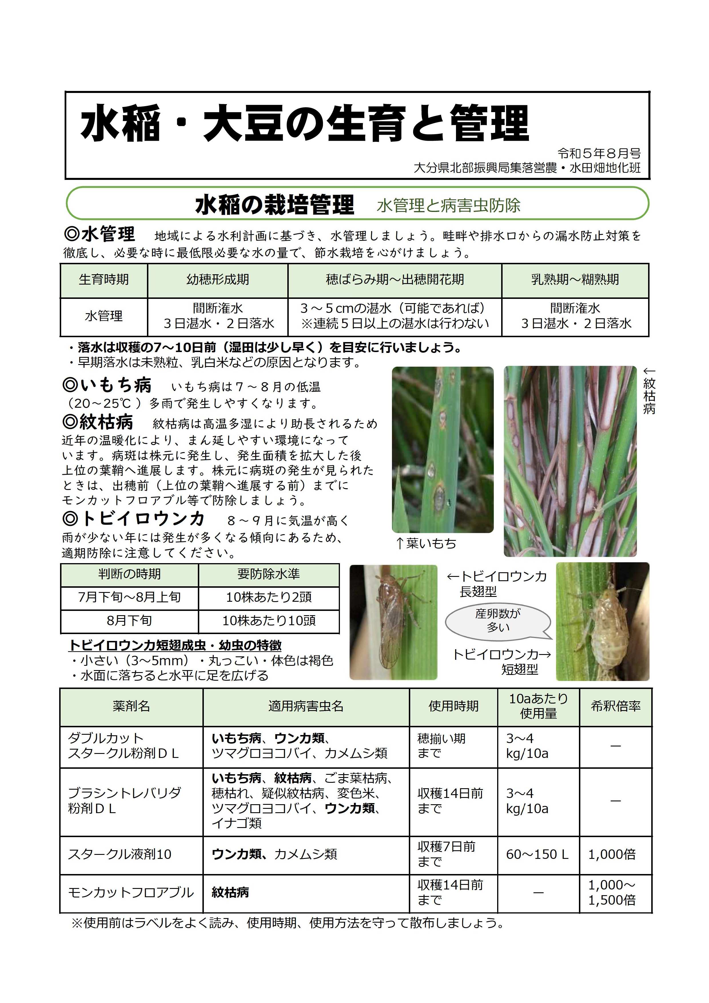 水稲の栽培管理