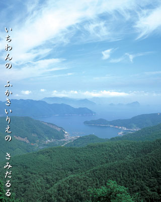 ʐ^@sĐÁAĐØp̂悤