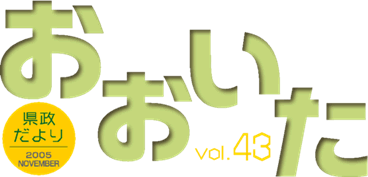 VエVol.43i2005N11sj