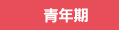 青年期