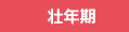 壮年期