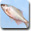 魚類・頭索類の丸い写真