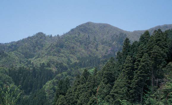 犬ヶ岳の稜線の写真