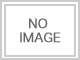 オオクマアメイロハエトリの写真