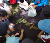 環境を守り活かす