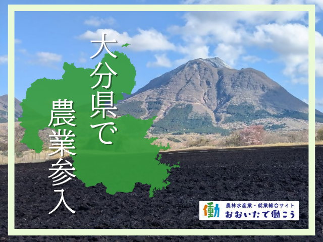 大分県で農業搬入