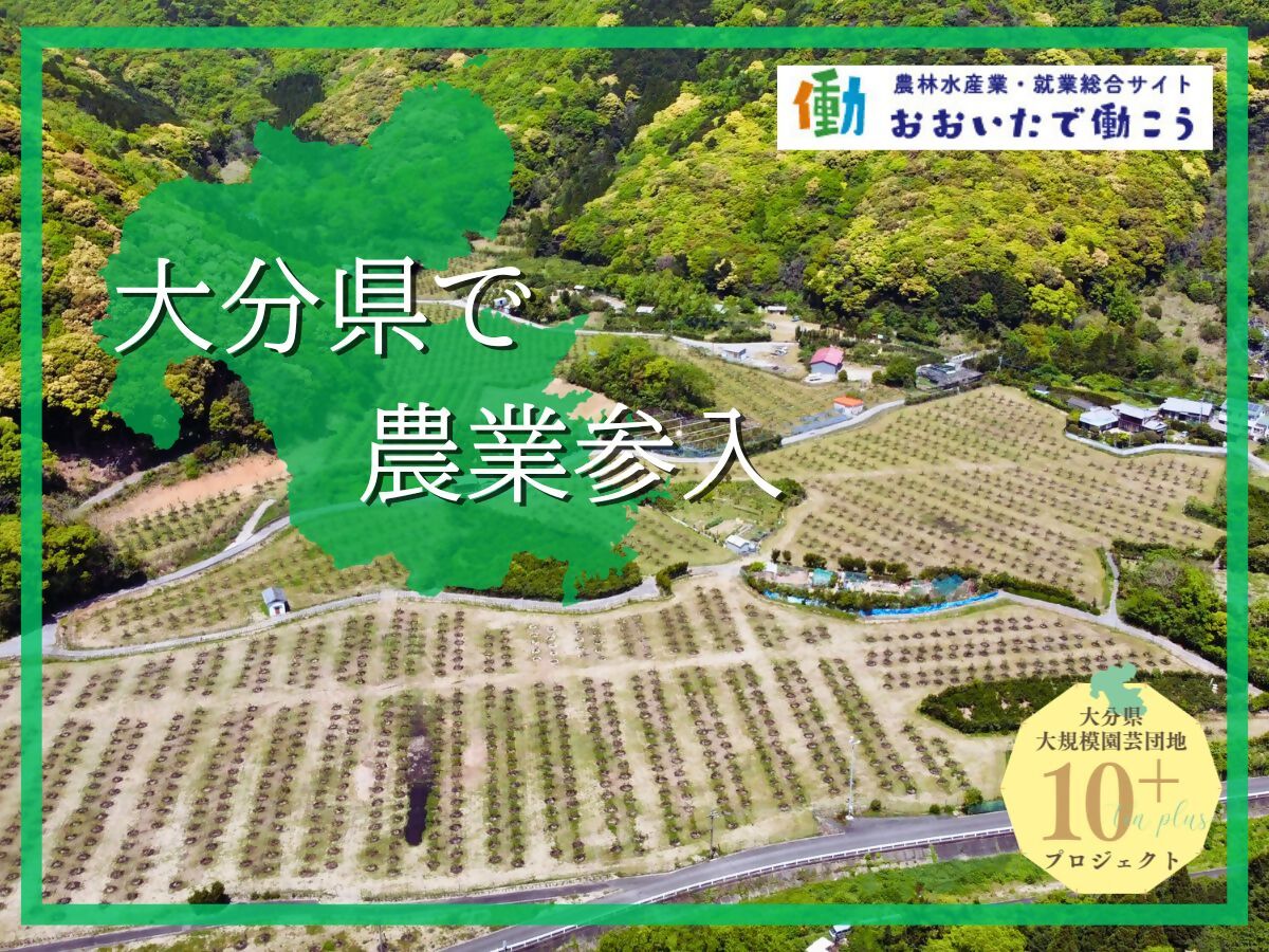 大分県で農業参入