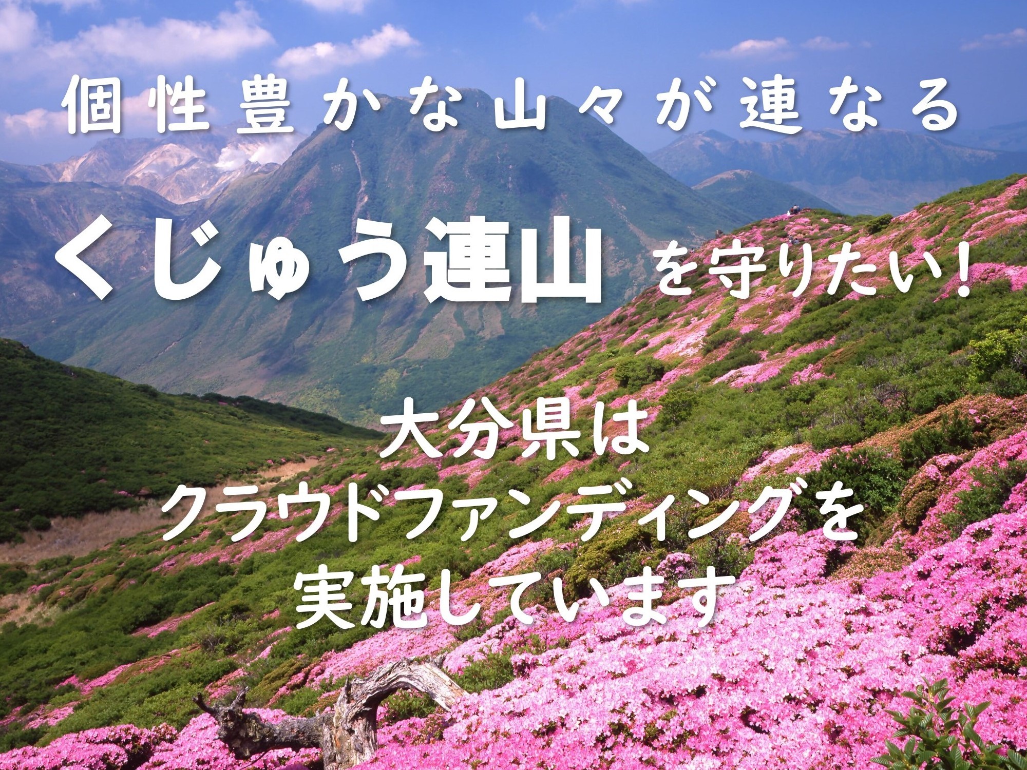 くじゅう連山クラウドファンディング