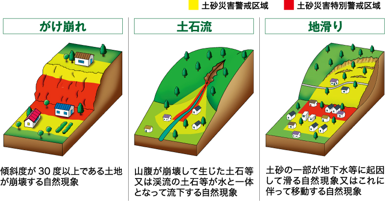 調査の分類