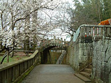 吉野梅園