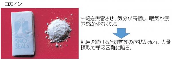 コカイン。神経を興奮させ、気分が高揚し、眠気や疲労感がなくなる。乱用を続けると幻覚等の症状が現れ、大量摂取で呼吸困難に陥る。