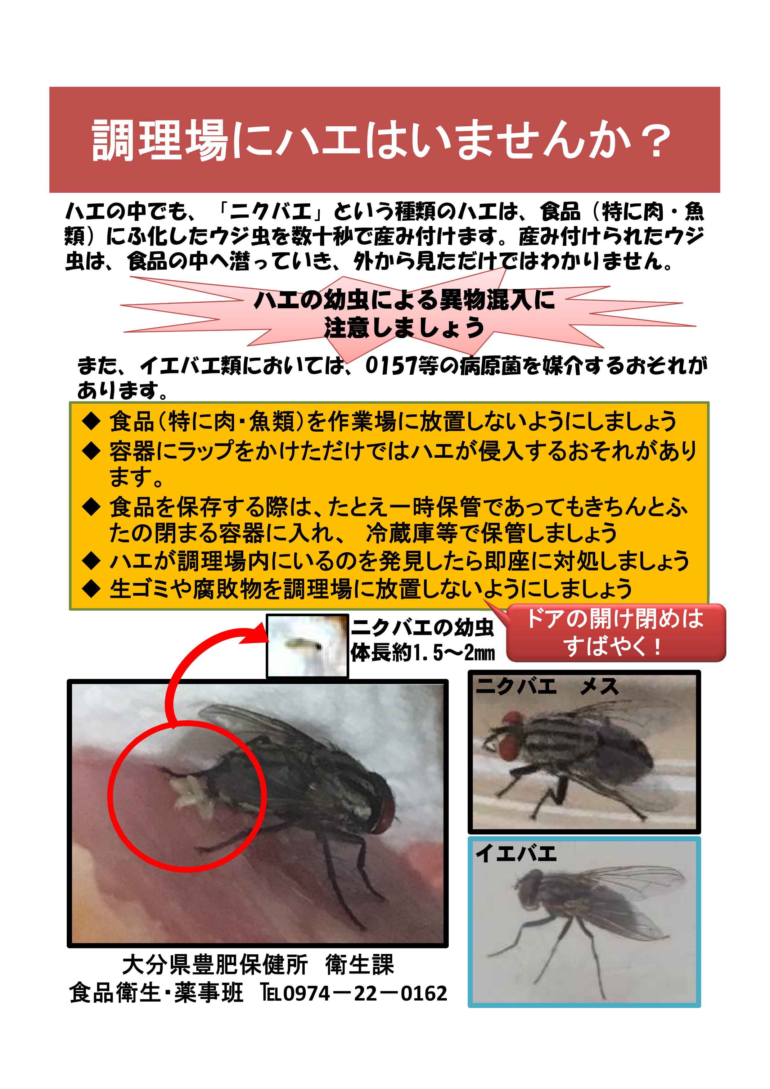 ニクバエにご注意ください 大分県ホームページ