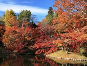 用正公園