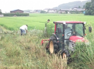 下櫛来の活動