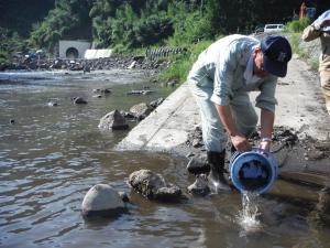 【写真】保護した生き物を工事現場下流へ放流しました。