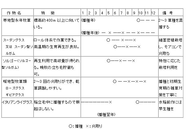 省力生産型の体系