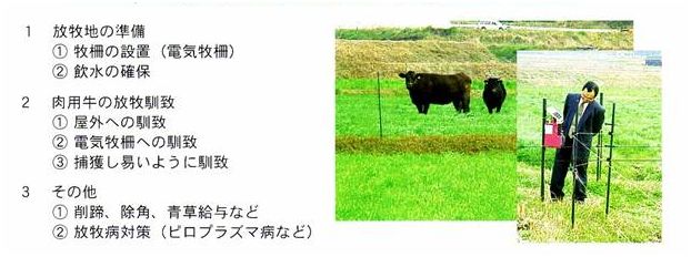 芝草地の準備