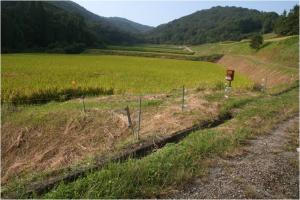 電気柵の設置