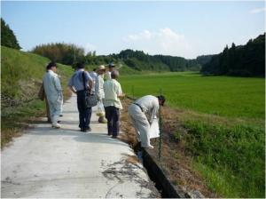 集落点検