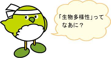 めじろんイラスト