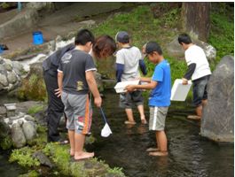 水生生物観察