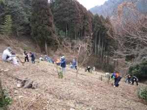 斜面での植樹作業