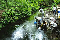 黒岳の男池湧水