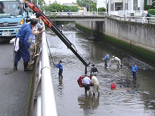 住吉川浄化活動の状況写真
