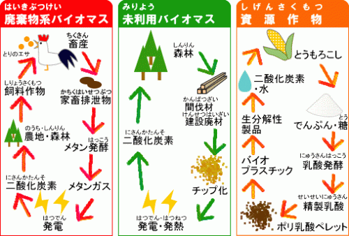 バイオマスの利用