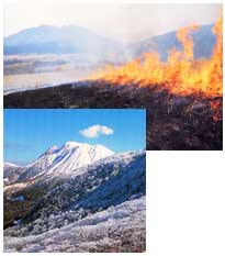 上は野焼きの写真です。下はくじゅう連山の冬景色の写真です。
