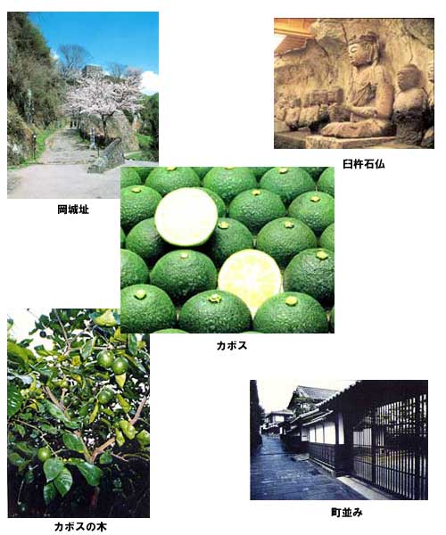 左上は、滝廉太郎の「荒城の月」で有名な、岡城趾の写真です。右上は、国の特別史跡に指定されている「臼杵磨崖仏」の写真です。真ん中は、大分県を代表する特産品の「カボス」です。左下は、カボスの木の写真です。右下は、臼杵市・竹田市の古い町並みの写真です。