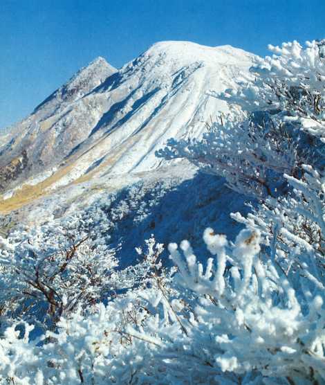 九重の霧氷