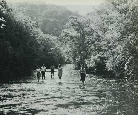 夏の秘境“岳切渓谷”