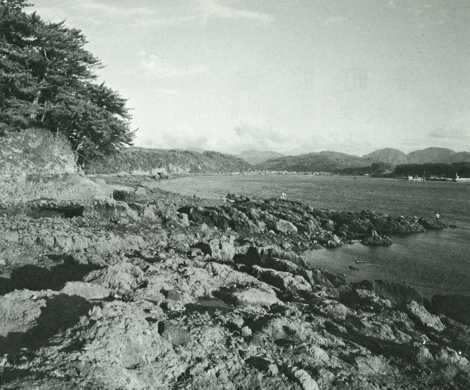巨松が繁り、岩と波とが織りなす自然のハーモニー、長崎鼻