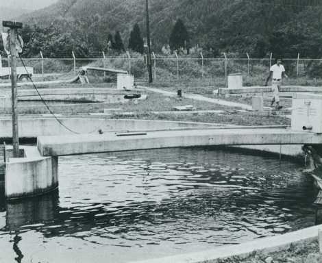 淡水魚センター　－佐伯市弥生－