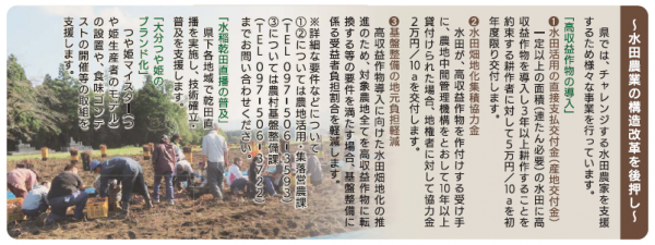 特集１
