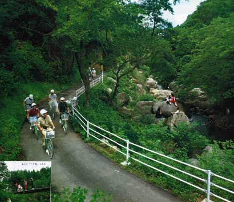 県民の森　サイクリング道路