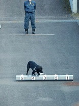 臭気選別犬の画像１