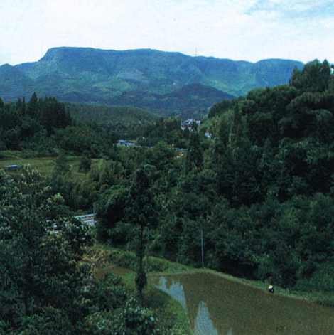 万年山（はねやま）　（1,140m）