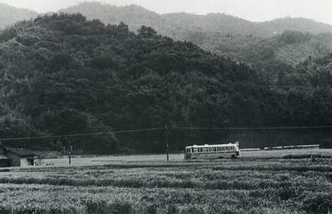 稲田の中を行く「岩戸寺への道」